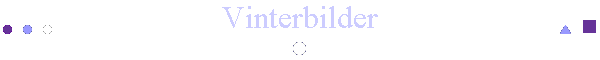 Vinterbilder